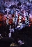Galerie photo Visite de la grotte de la salamandre